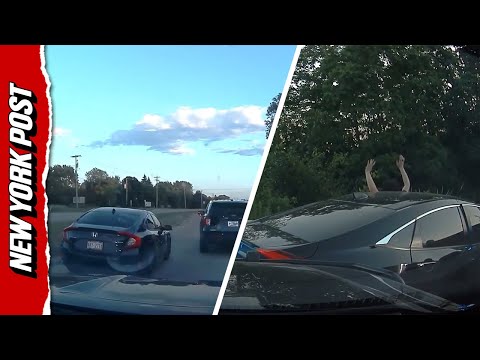 Police dashcam captures high-speed chase across state lines