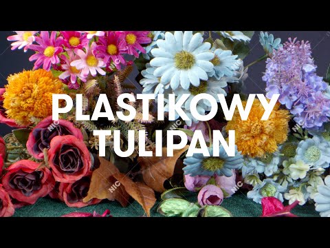 Video thumbnail for Plastikowy tulipan