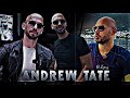 GO GYAL Andrew Tate Edit 4K EDIT SEAMLESS EDIT