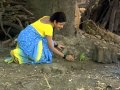 Rasikachya Lagnat Boriwale Pakhara Marthi Movie Song