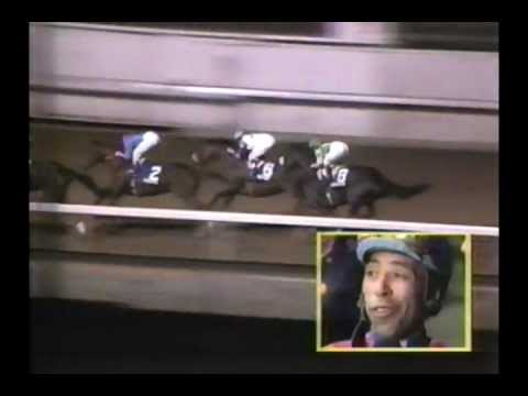 1989 Meadowlands Cup - Mi Selecto