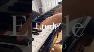 Download lagu Etude #waltz #saintsaens #waltzetude #op52no6 #etudeenformedevalse #pianotutorial #サンサーンス #エチュード mp3