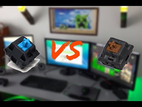 Cherry MX Blue VS Brown Typing Test