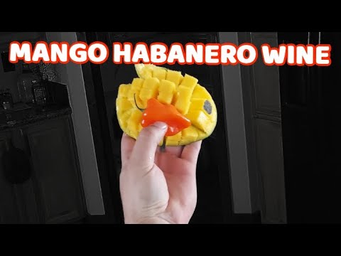 making mango habanero wine - start to finish