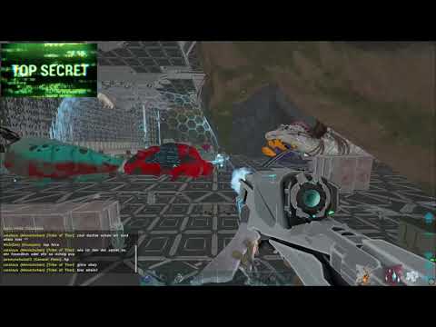 Shopping All Alpha Trees in 1 day  | SmallTribes |