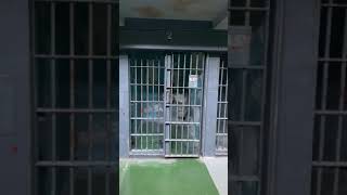 Creepy Moundsville prison cell door in moundsvile wv  ! *** ⚠️