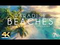 Paradise Beaches 4K Drone Ultimate Aerial Journey Tropical House Ambiance