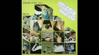 Nature Study Vol. 1 (1985)