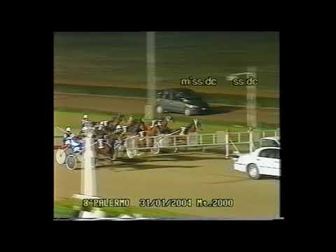 Ippodromo La Favorita 31-01-2004 - prima vittoria a Palermo di Colore Del Nord