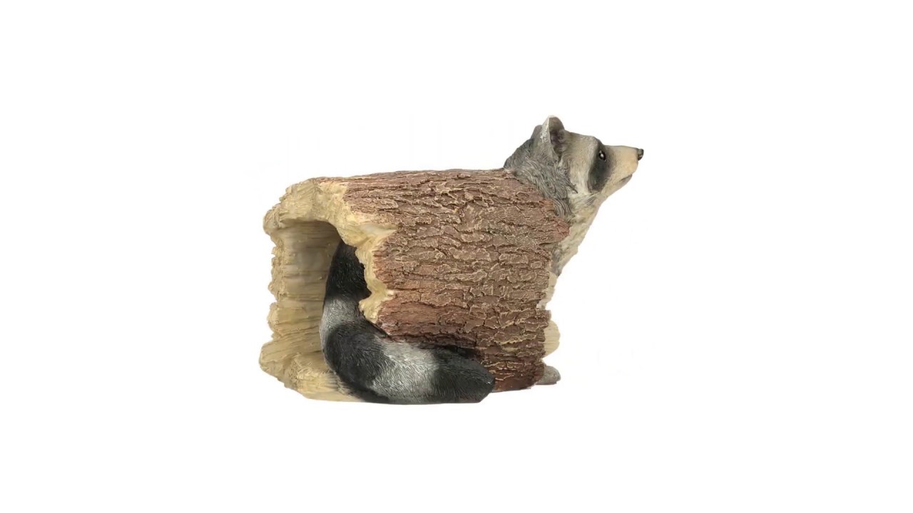 Bandit the Raccoon Garden Statue Video