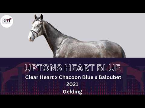 Uptons Heart Blue