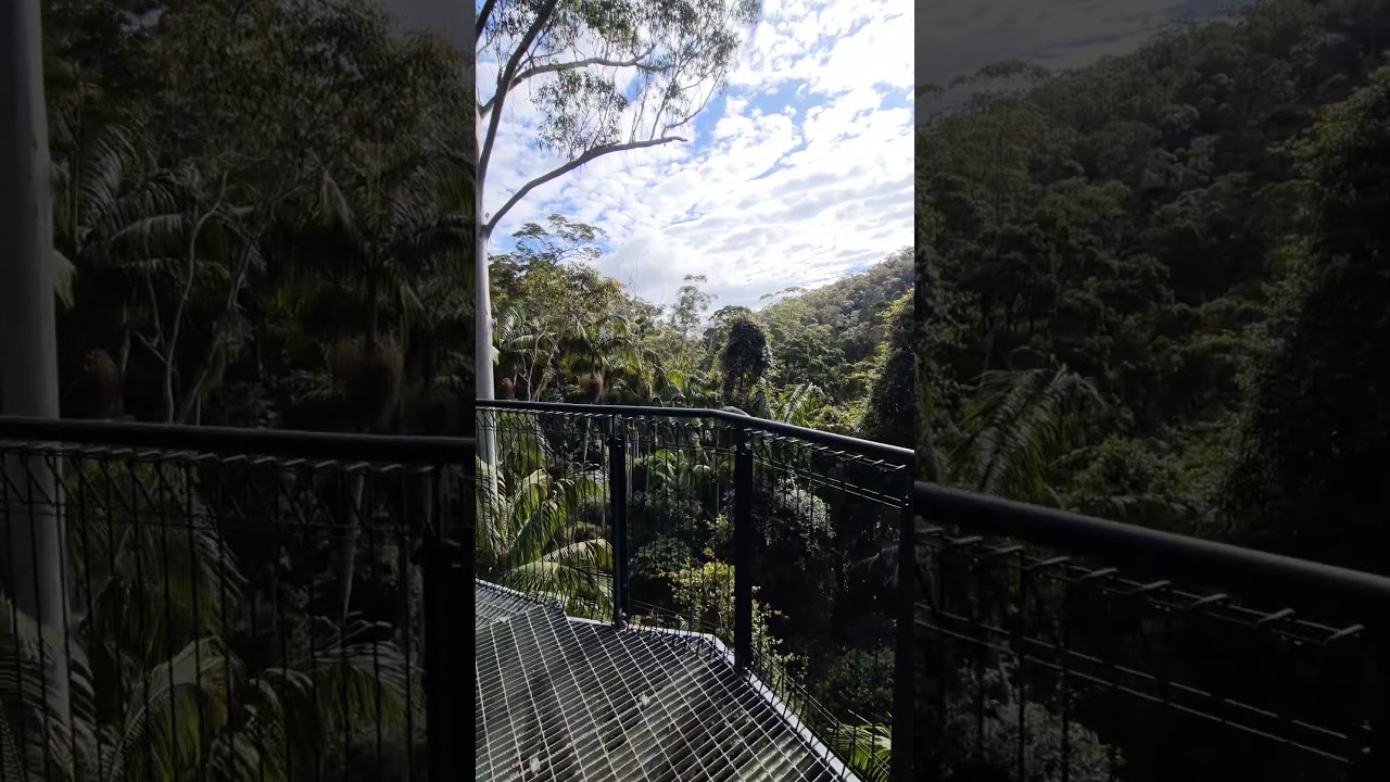 YouTube Short thumbnail