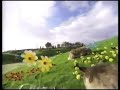Rare Teletubbies Opening Music