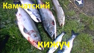 Как и на что ловить кижуча