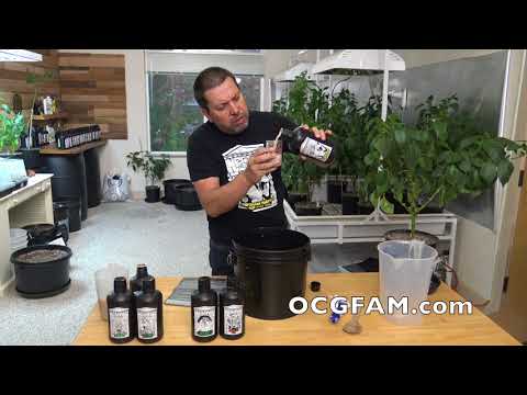 Using Nectar for the Gods Nutrients - Step By Step with no step skipped - Part 1