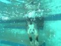 Bryce Swimming Underwater