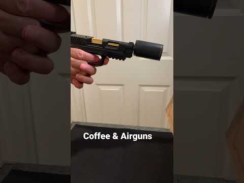 Umarex Airguns Trevox Air Gun Pellet Pistol Gun Review