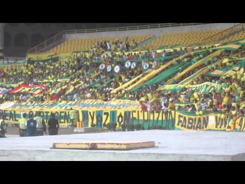 REBELION AURIVERDE NORTE ( real cartagena vs leones 15 de feb 2016)