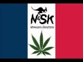 N1SK AIWA.wmv
