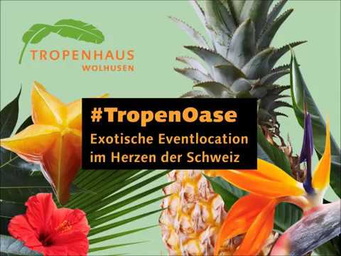Die Exotische Eventlocation im Herzen der Schweiz