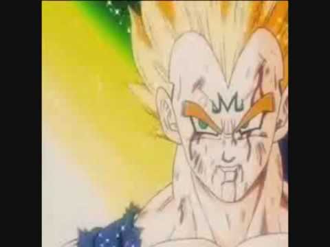Dragonballz - Vegetas Birthright!