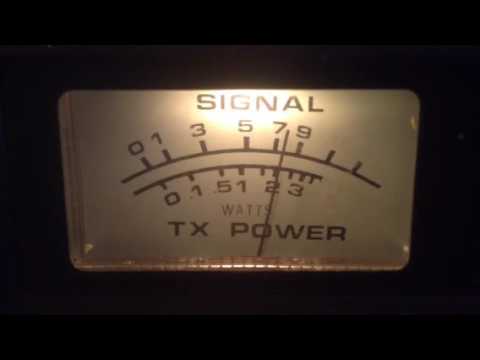 109-Fl,454-Fl,Moon Shiner-Fl,Swamp Rat-Fl,Ricochet-Ga,171-Me