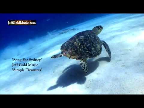 Peaceful Relaxing Music Underwater Scenes Sea Turtles  Stingrays Reefs