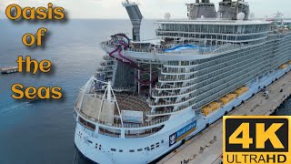 You won't believe how big this cruise ship really is?