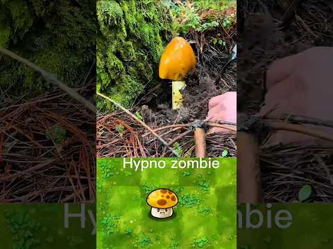 pvz fusion 🔥 #plantsvszombies #gameplay #pvz fusion #mobilegame #plants