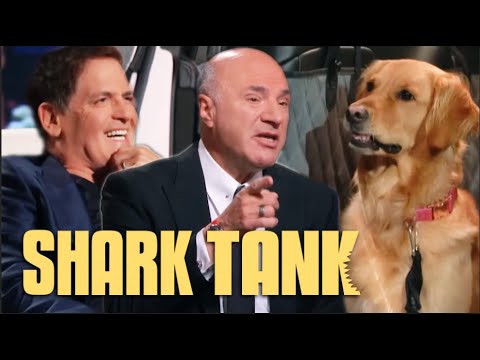 Ruff Liners Shark Tank Pitch