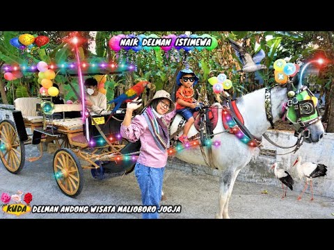 Đi xe ngựa | Tour xe ngựa Andong ... Đoạn giới thiệu