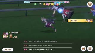 第百二回デイリー凱旋門賞　2025/11/11 雨 重バ場