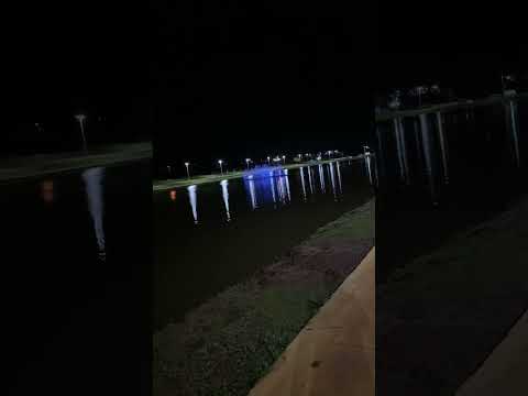Lago Viradouro São Paulo ( corrida a noite ) #corrida #viradouro #lago #nature