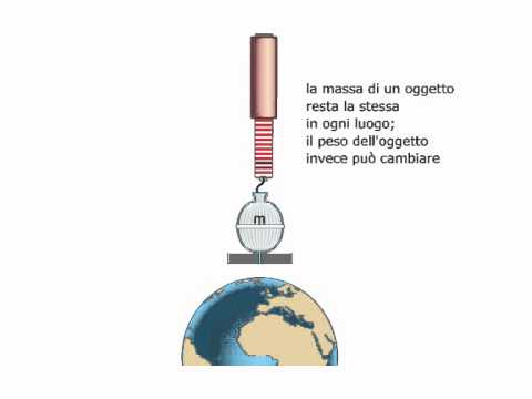 Esercizio per perdita di peso per uomini Quante calorie di proteine di grassi e carboidrati in una banana