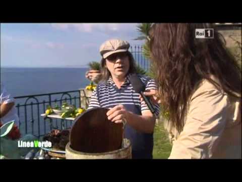 ELISA ISOARDI-SINTESI PUNTATA LINEA VERDE..SORRENTO