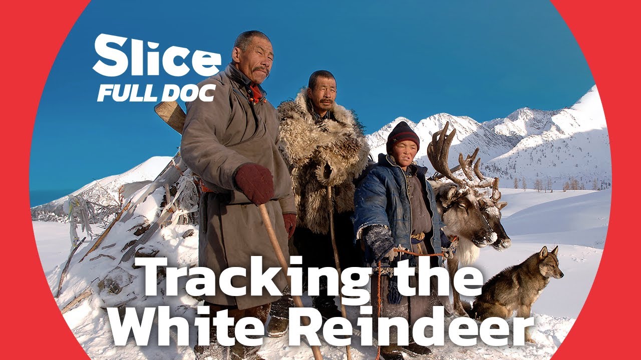 Tsaatan Love Story: A Young Man's Quest to Prove Himself in Mongolia | FULL DOCUMENTARY