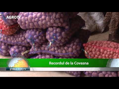 recordul de la covasna