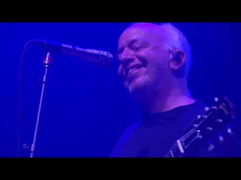 Ween 3-18-23  The Mollusk - Live at the Brooklyn Bowl
