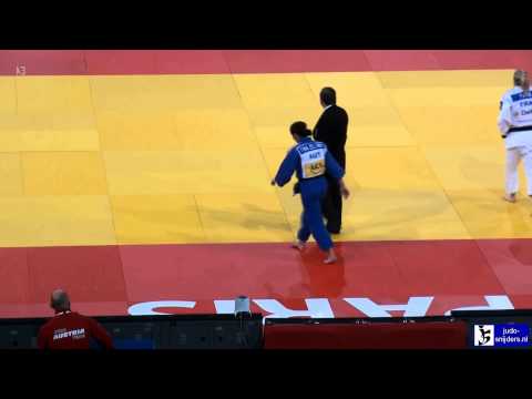 Judo 2013 Grand Slam Paris: Pavia (FRA) - Zeltner (AUT) [-57kg]