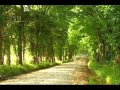 Patrick O'hearn - Homeward bound.wmv