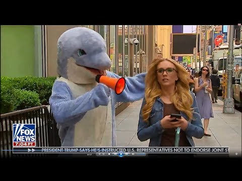 06-09-18 Kat Timpf on The Greg Gutfeld Show - Kat’s ‘It’s Not Your Fault Dolphin’ Ad