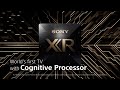 Sony BRAVIA XR | XR Cognitive Processor Technology