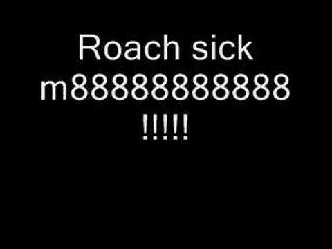 Roach sick tune!!!! Watch it u will buzz!!!