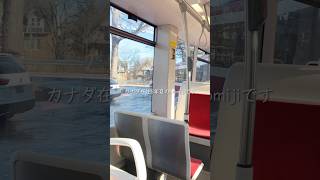 カナダのIKEA🇨🇦🇸🇪