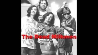 Dead Milkmen - If you love someone, set them on fire