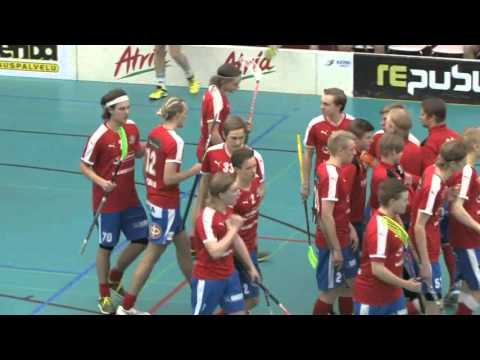 Maalikooste SPV - Tiikerit 10.1.2016