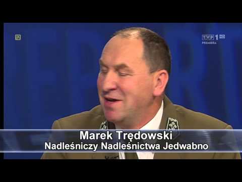 Sprawa dla reportera - Wycięty