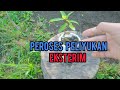 Cara Pemetukan Liyukan Eksterim Lowa Pemula Wajib Tawu