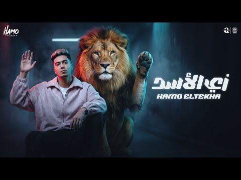 زي الاسد واقف وتد حمو الطيخا