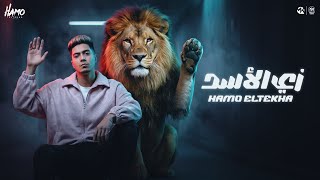 زي الاسد واقف وتد - حمو الطيخا